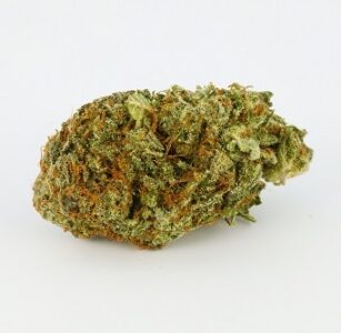 Afghan Kush Marihuana-Sorte kaufen -Blüten mit violetten Nuancen und kristallinem Trichombesatz
