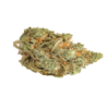 Amnesia Haze online kaufen - Amnesia Haze Blüten mit leuchtenden Orangentönen und Zitrusnoten