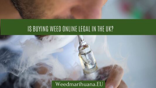 Best Cannabis Dispensary Websites Is Buying Weed Online Legal in the UK