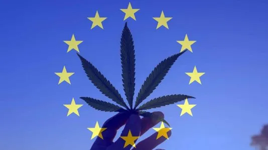 Can I Drive After Using Medical Marijuana? Medical cannabis delivery Europe