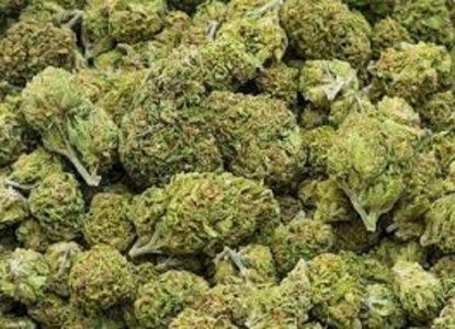 Order Medical Cannabis Strains Online EU