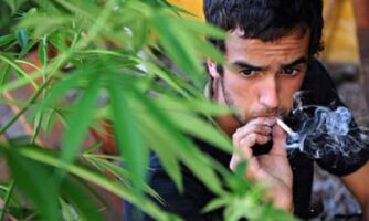 Medical Cannabis Supply Chain